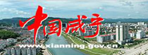 咸宁市政府网站